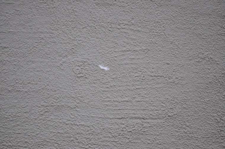 Terrace Apartment shooting